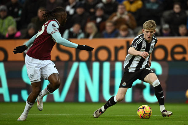 舆论对本土 舆论对本土