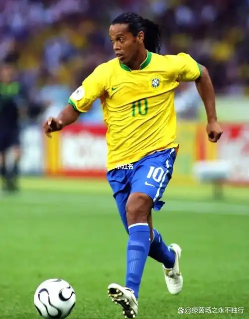 这些计划旨 这些计划旨